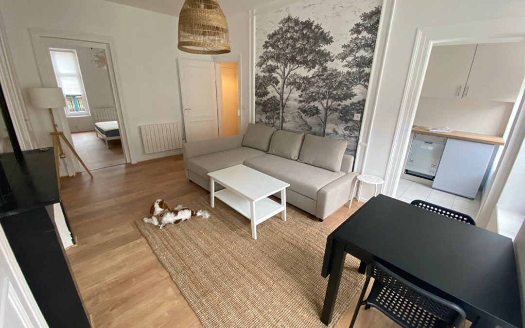 T2 MEUBLÉ de 43.58 m², rue d’Angleterre, VIEUX LILLE