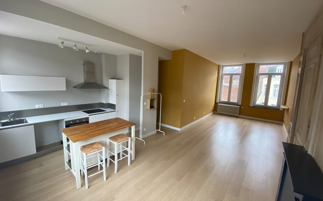 T3 DUPLEX de 74.42 m², rue Gauthier de Chatillon,