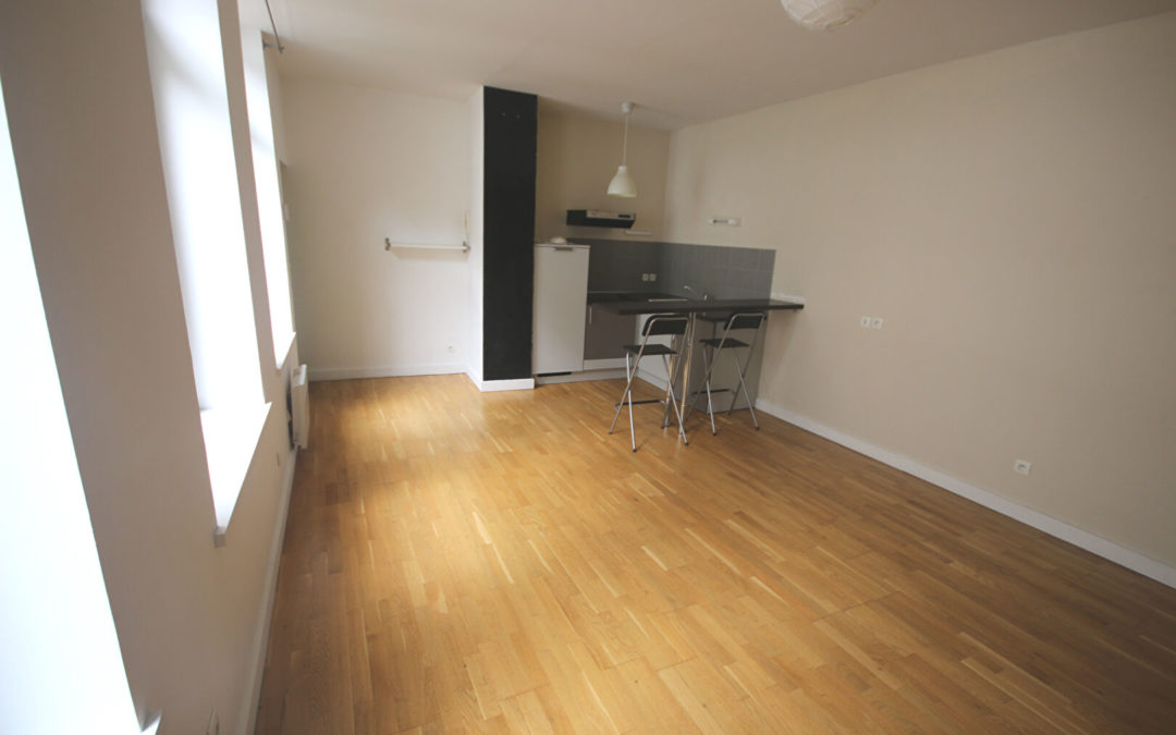 T2 de 47.50 m², rue du sec Arembault, Lille centre